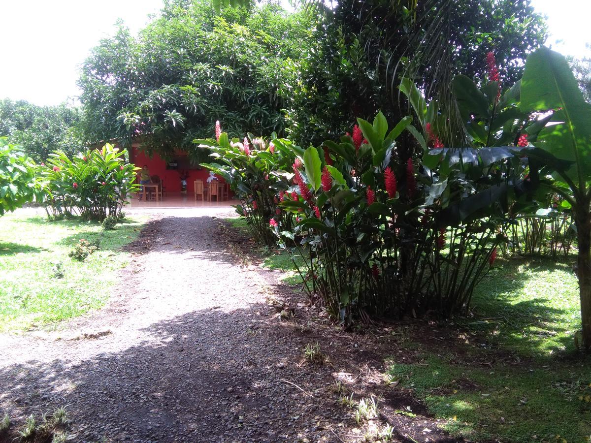 Paraiso Volcano Lodge Guayabo  Extérieur photo