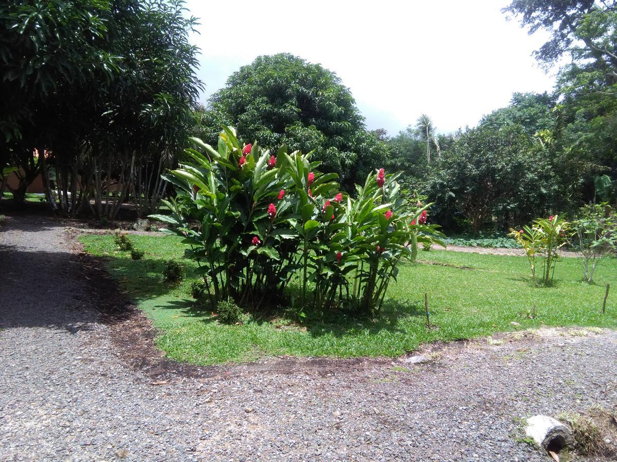 Paraiso Volcano Lodge Guayabo  Extérieur photo